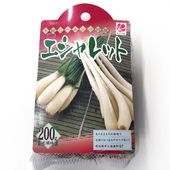 健康野菜球根 エシャレット【野菜の苗 ネット詰め野菜球根 充填時200g／1袋／1個売り】|球根類