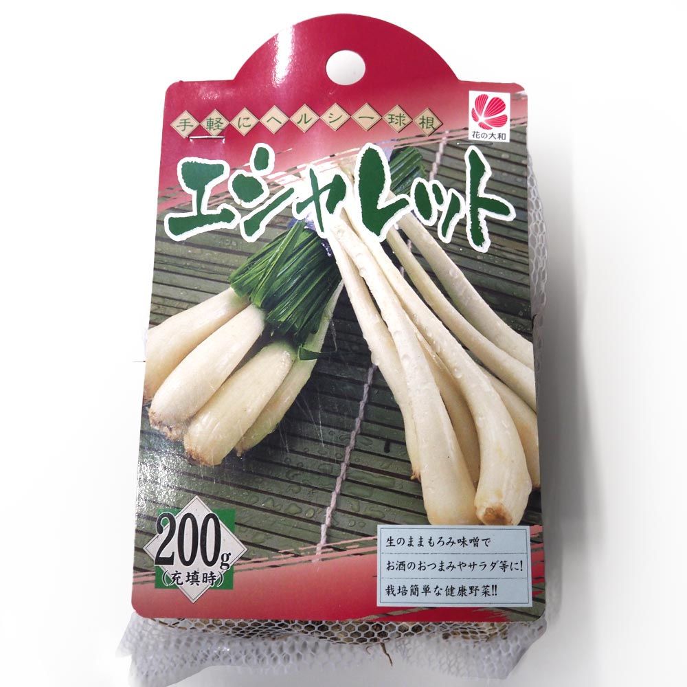 健康野菜球根 エシャレット【野菜の苗 ネット詰め野菜球根 充填時200g／1袋／1個売り】