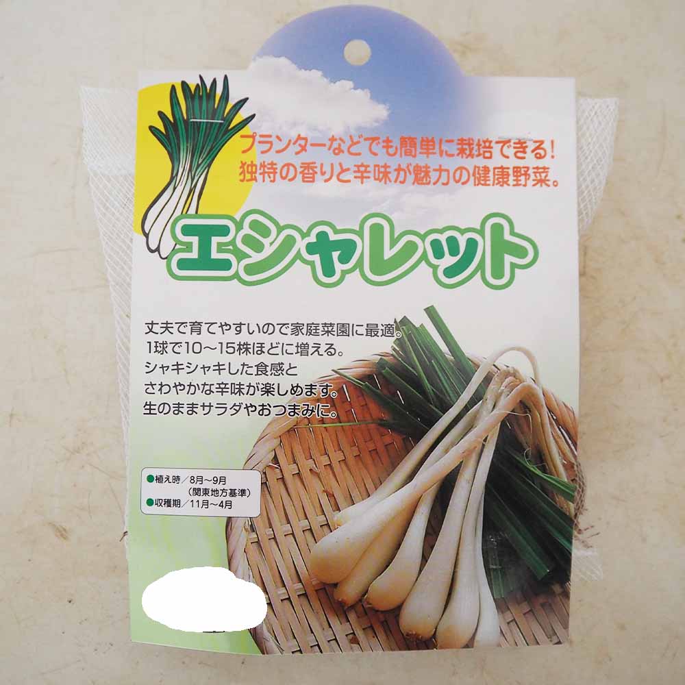 健康野菜球根 エシャレット【野菜の苗 ネット詰め野菜球根 充填時150g／1袋／1個売り】