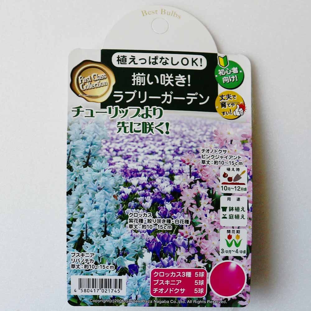 揃い咲きラブリーガーデン【花球根 12球】