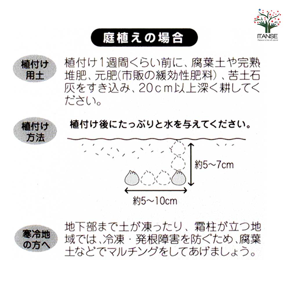 追加商品画像