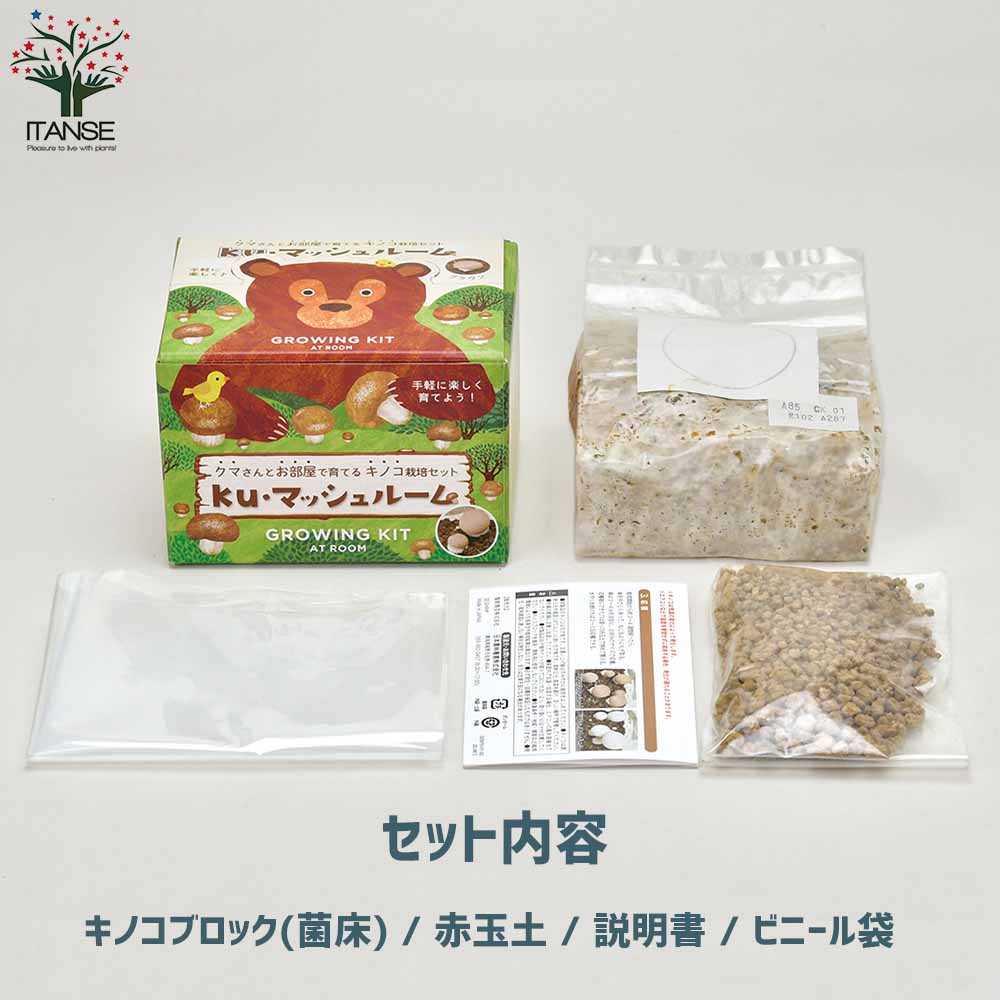 おうちでできるキノコ栽培キット ホワイトマッシュルーム【1個売り