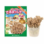 菌床きのこ栽培セット”でるまっしゅ” ぶなしめじ 【セット内容：ぶなしめじ菌床ブロック、日向土、説明書、ビニール袋】|栽培セット