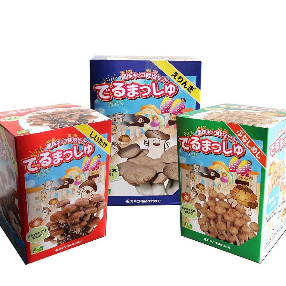 菌床きのこ栽培セット”でるまっしゅ” しいたけ・えりんぎ・ぶなしめじ【お買い得3個セット】
