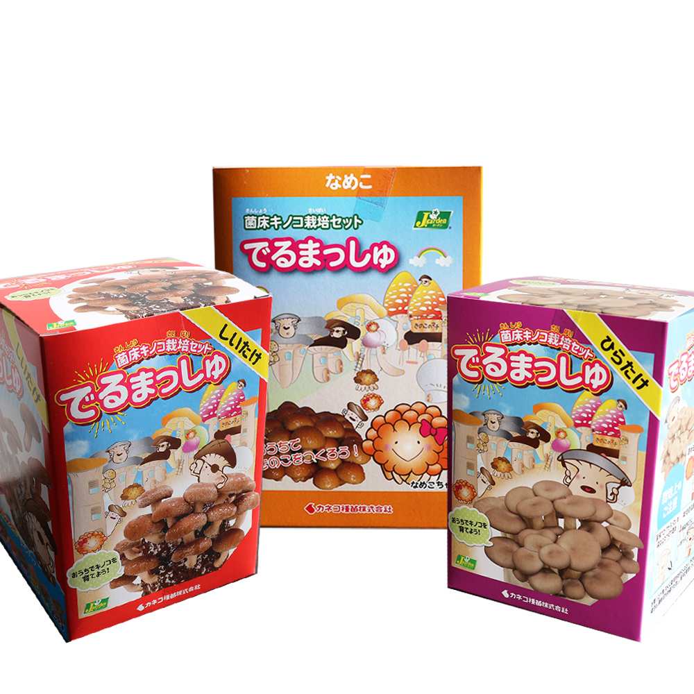 菌床きのこ栽培セット”でるまっしゅ” しいたけ・なめこ・ひらたけ【お買い得3個セット】
