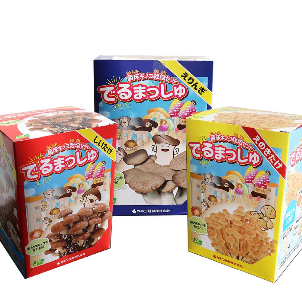 菌床きのこ栽培セット”でるまっしゅ” しいたけ・えのき・えりんぎ