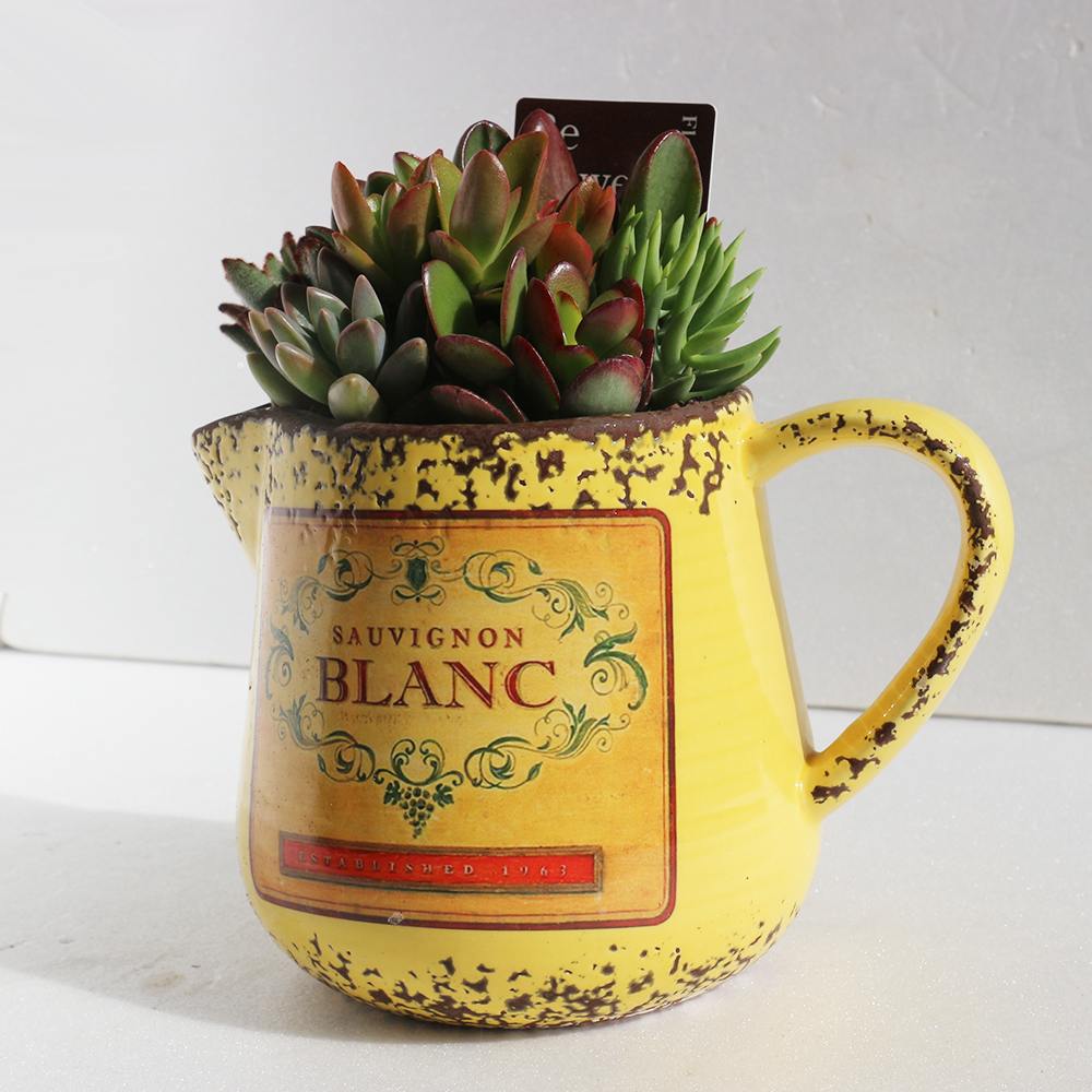 多肉植物 寄せ植え・ピッチャー(イエロー)【多肉植物 プレゼントやリビングやオフィス向き／1個売り】