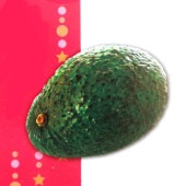 アボカドの苗木 品種：チョケテ(Aタイプ)【果樹の苗木 13.5cmポット 接木苗／1個売り】|果樹苗