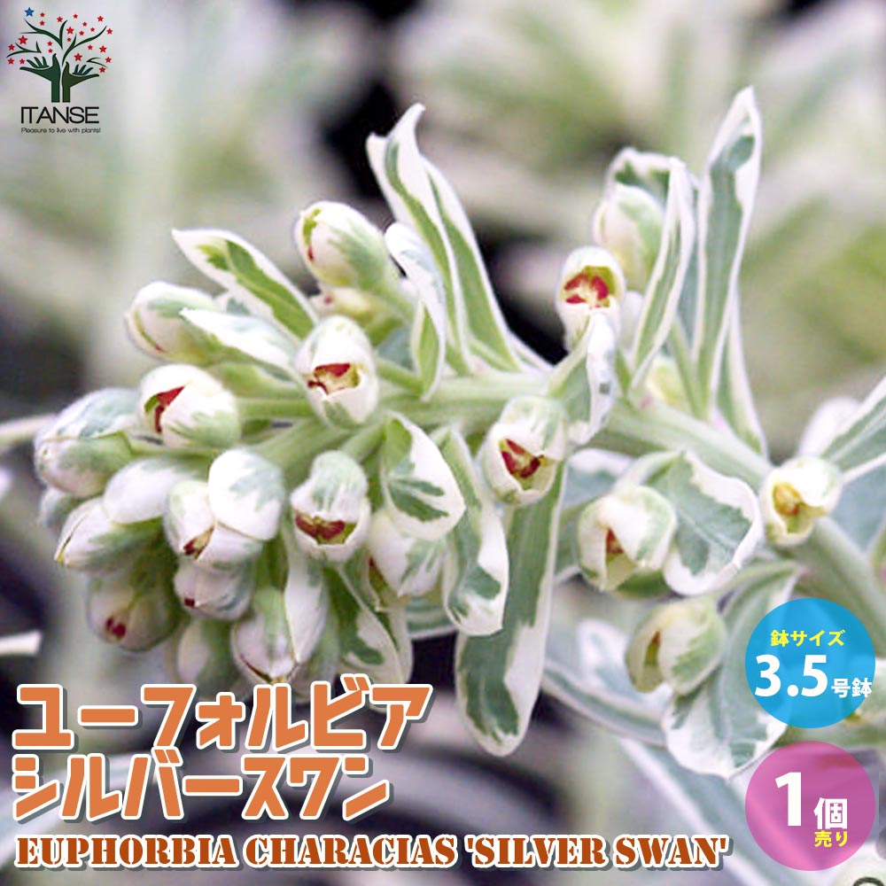 Itanse良品セレクト通販 Itanse良品セレクト通販