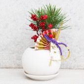 曲がり松・輝き／「迎春」の飾り付き【正月飾り Lサイズ白鉢／1個売り】|植木・花木
