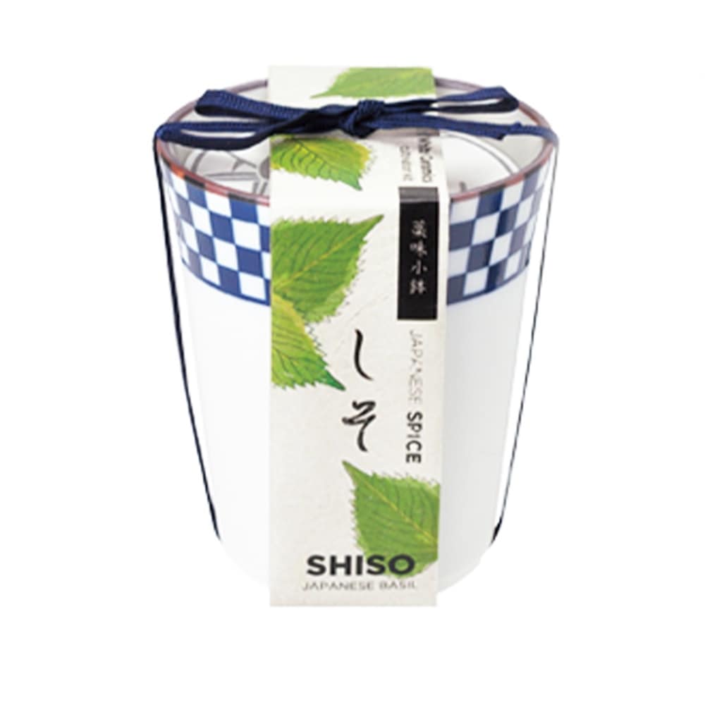 栽培セット 青じそ 染付小紋 薬味小鉢【野菜の苗／1個売り】｜ 【植物