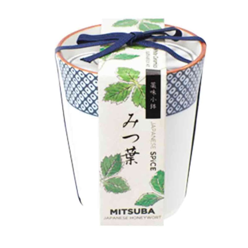 パキポディウム カクチペス【観葉植物 2.5号ミニサイズ 塊根植物・珍奇