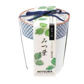 栽培セット 三つ葉 染付小紋 薬味小鉢【野菜の苗／1個売り】|栽培セット