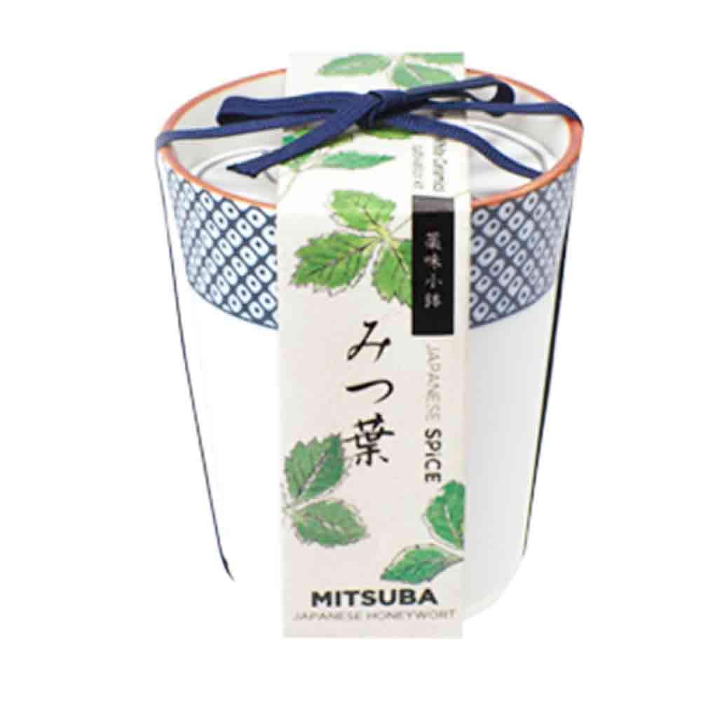 栽培セット 三つ葉 染付小紋 薬味小鉢【野菜の苗／1個売り】｜ 【植物