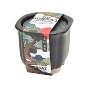 栽培セット The BONSAI 黒松【盆栽／1個売り】|栽培セット