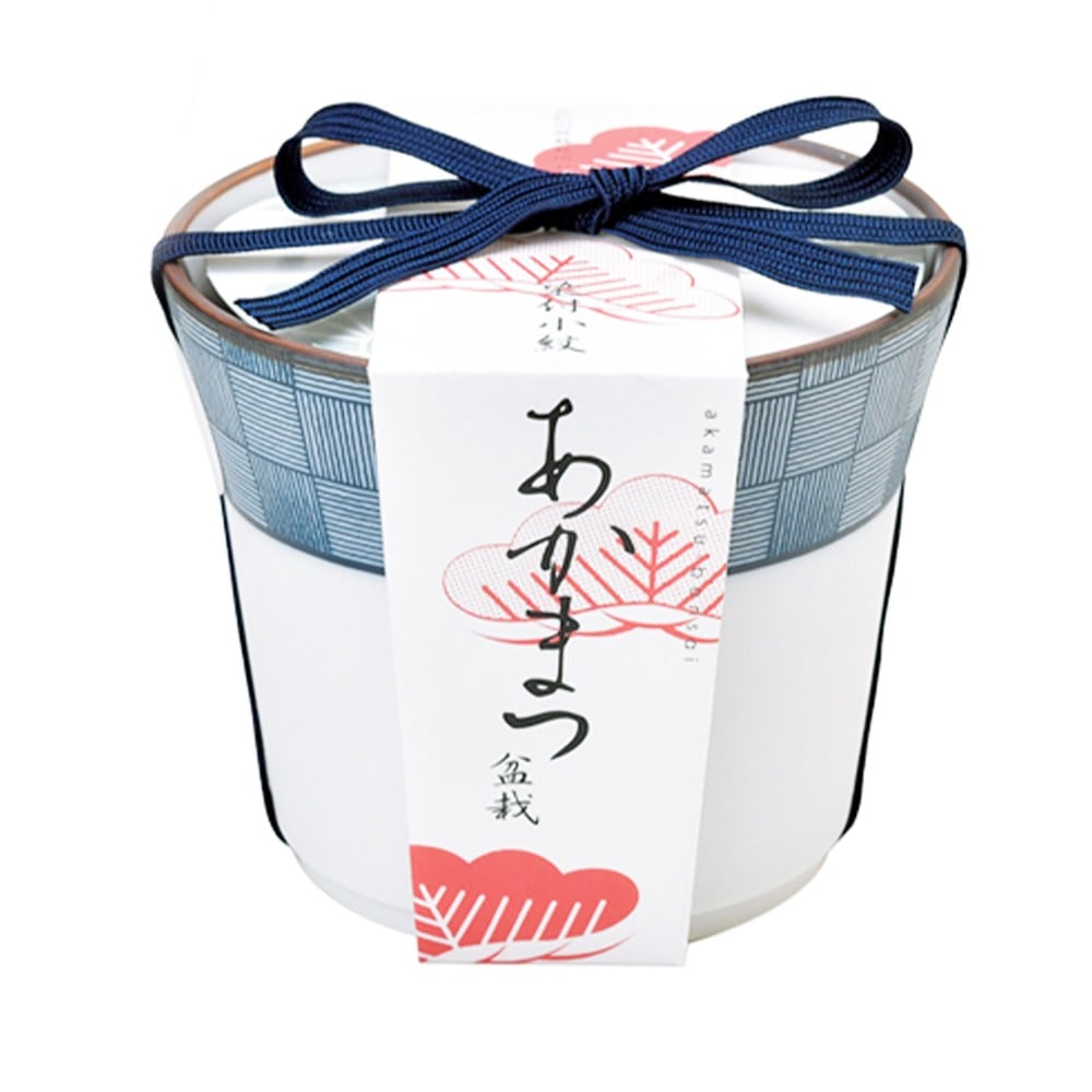 服部　盆栽鉢　赤茶 服部 盆栽鉢 赤茶