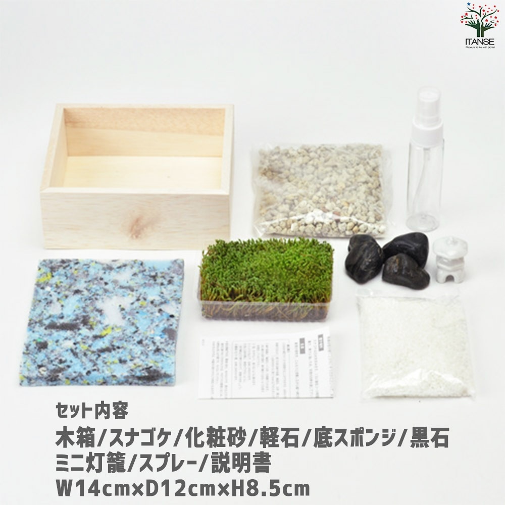栽培セット コケ 苔盆【盆栽／1個売り】｜ 【植物のITANSE】全品