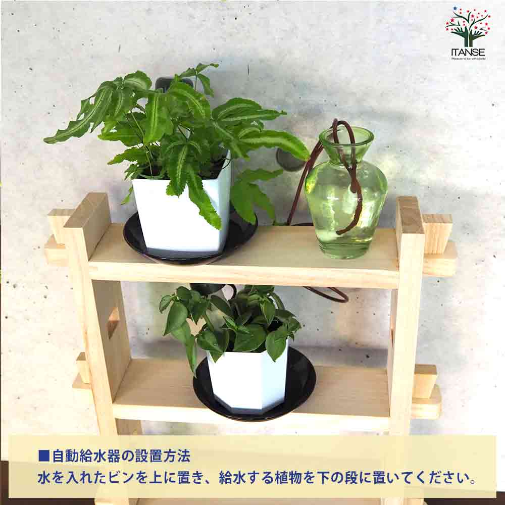 ミニ観葉植物ディスプレイ&生育棚 自動水やり器付き・木製くさびラック
