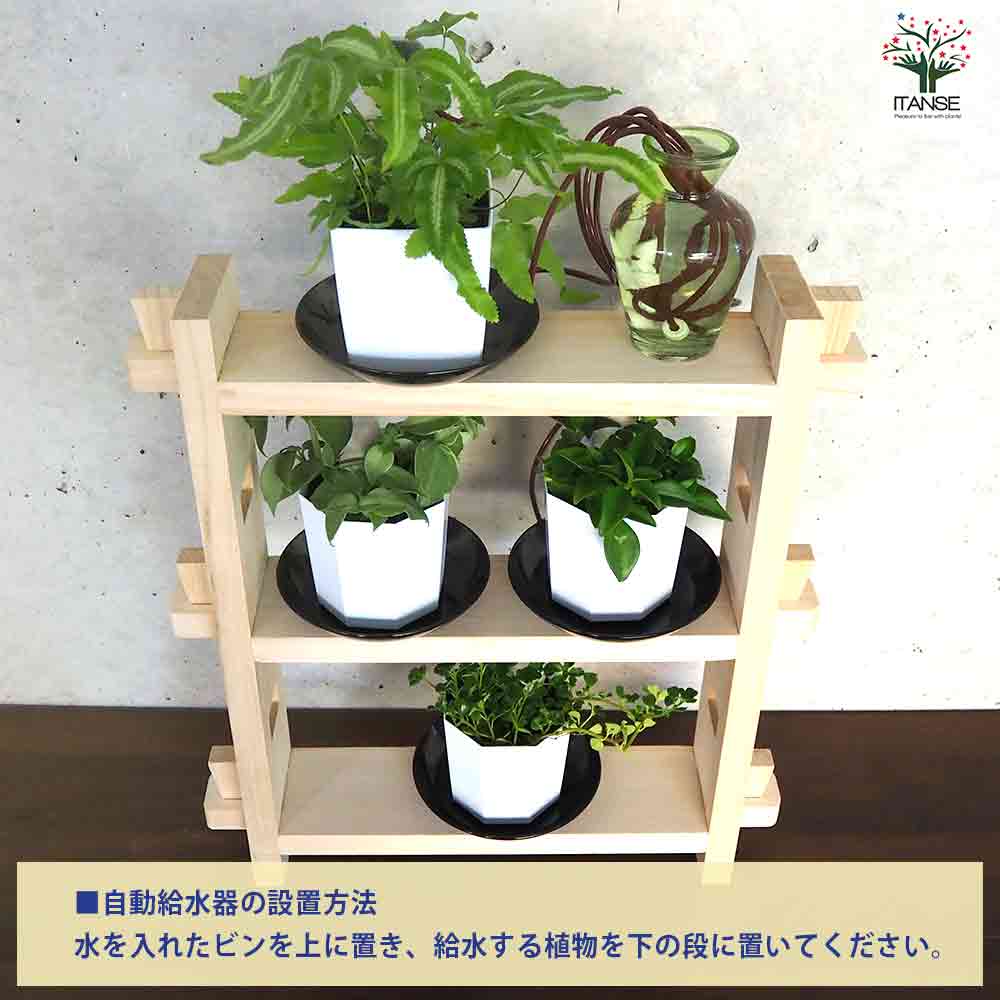 ミニ観葉植物ディスプレイ&生育棚 自動水やり器付き・木製くさびラック