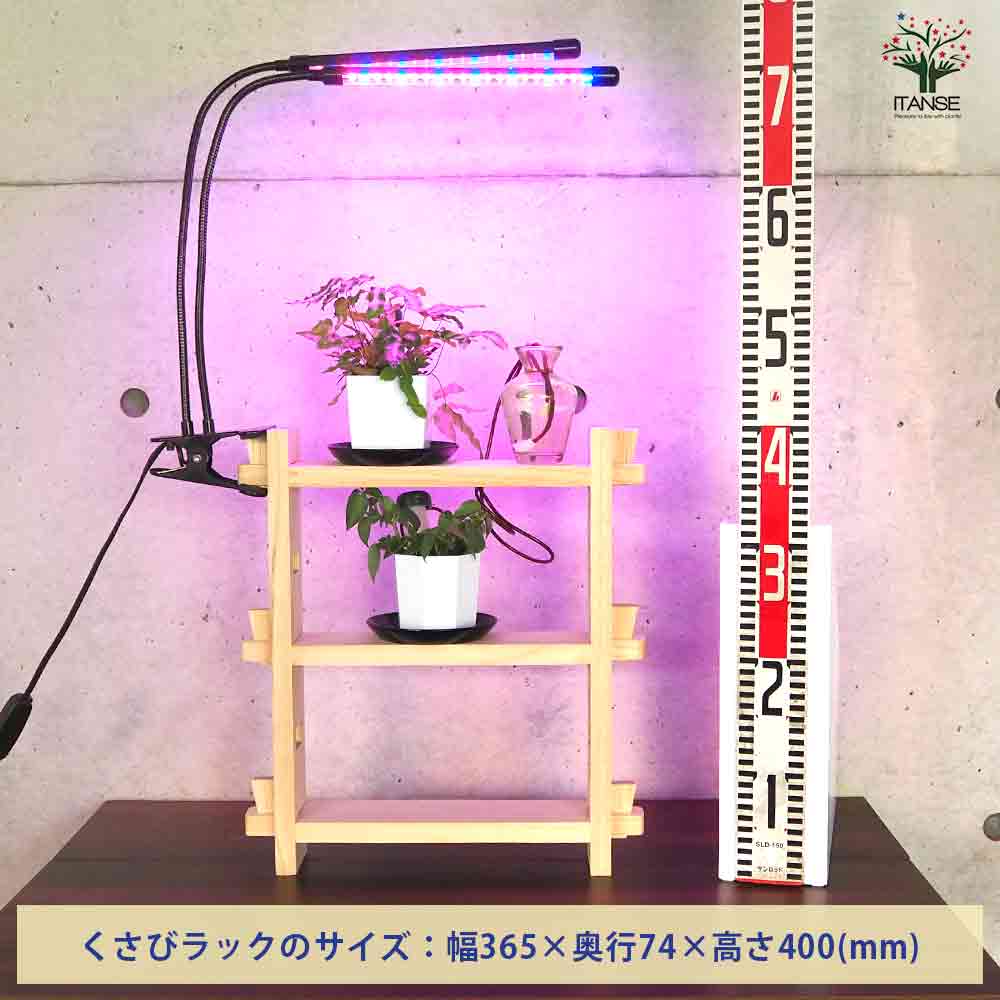 ミニ観葉植物ディスプレイ&生育棚 自動水やり器付き・木製くさびラック