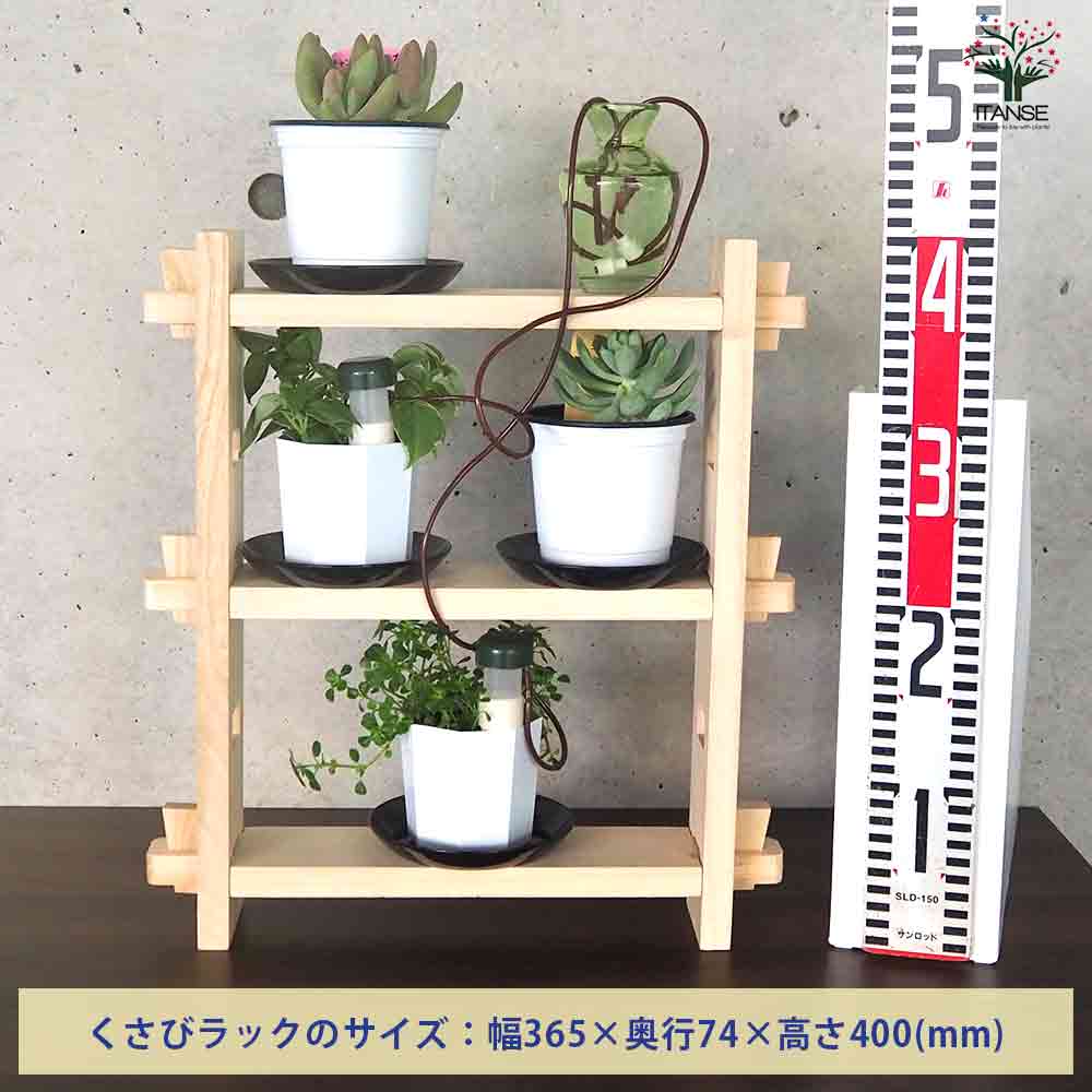 ミニ観葉+多肉植物ディスプレイ&生育棚 自動水やり器付き・木製くさび