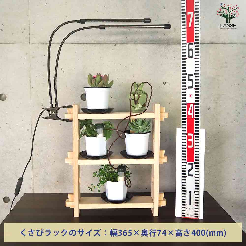 ミニ観葉+多肉植物ディスプレイ&生育棚 自動水やり器付き・木製くさび