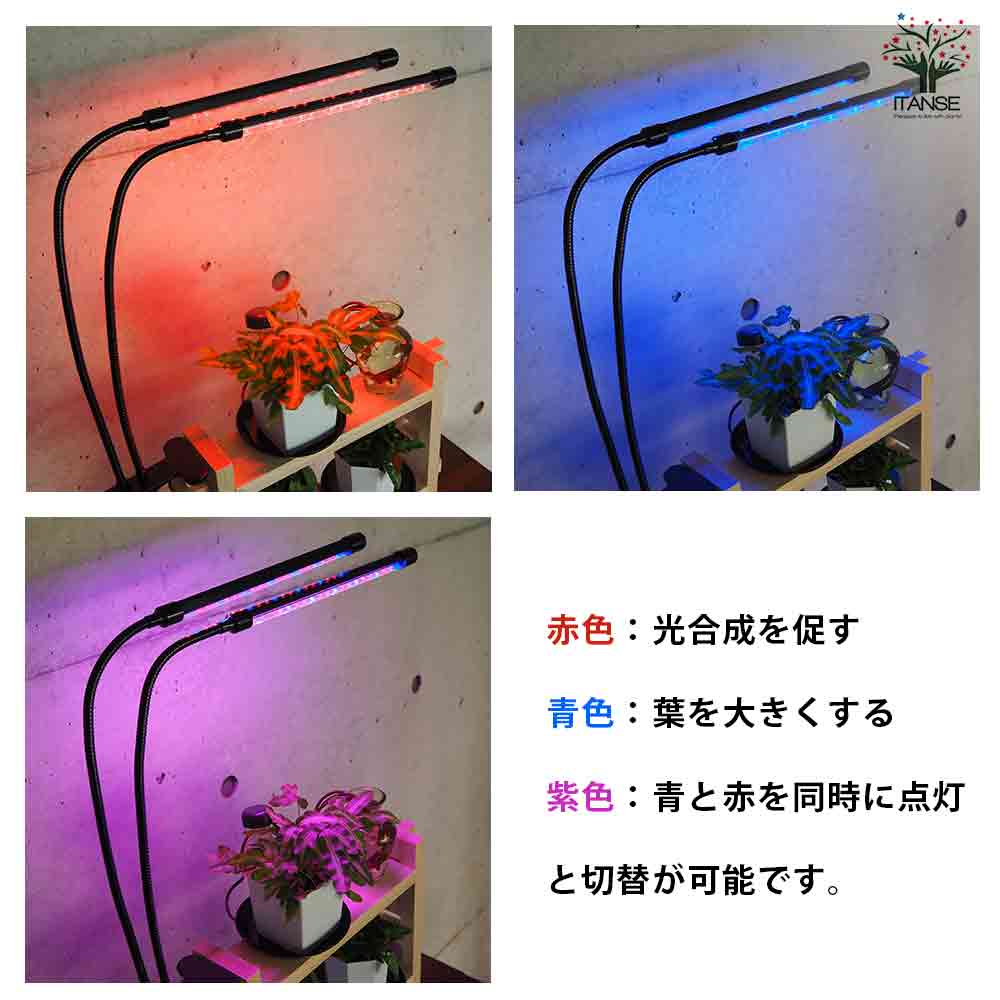 BLUE EDITION MJ-L165 MAXSPECT ハンギングキット付き BLUE EDITION MJ-L165 MAXSPECT ハンギングキット付き