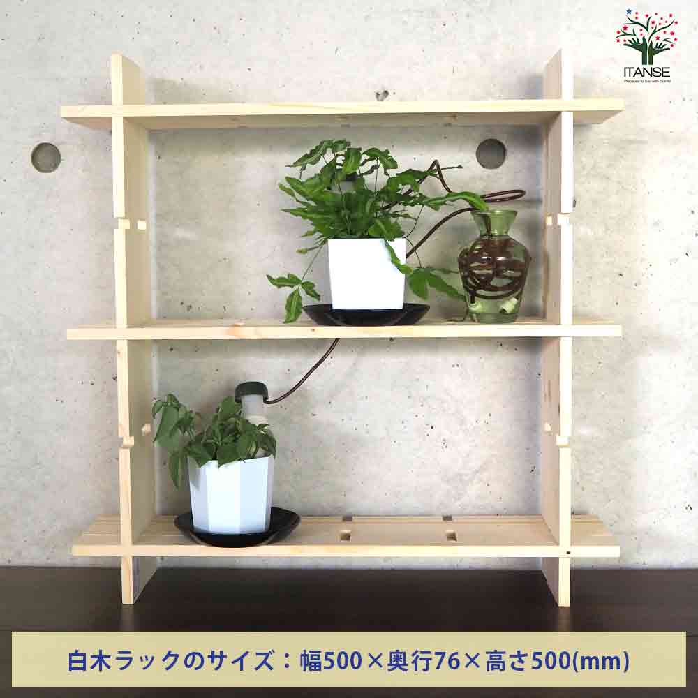 ミニ観葉植物ディスプレイ&生育棚 工具ほぼいらず!組み木差し込み白木