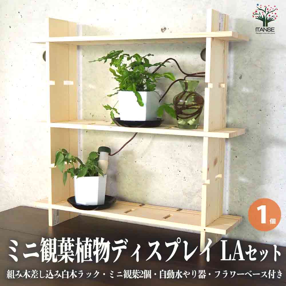 ミニ観葉植物ディスプレイ&生育棚 工具ほぼいらず!組み木差し込み白木ラック/LAセット【資材 ／1個売り】