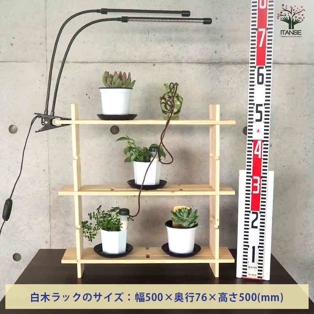 ミニ観葉植物+多肉植物ディスプレイ&生育棚 工具ほぼいらず!組み木