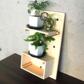 ミニ観葉植物壁面ディスプレイ&ボックス 工具ほぼいらずWAセット【資材 ／1個売り】|用土肥料・園芸資材