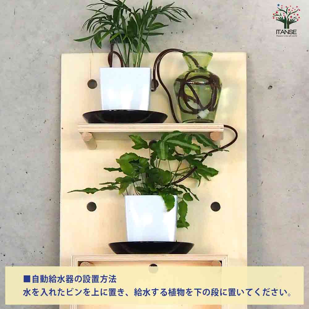 ミニ観葉植物壁面ディスプレイ&ボックス 工具ほぼいらずWAセット【資材