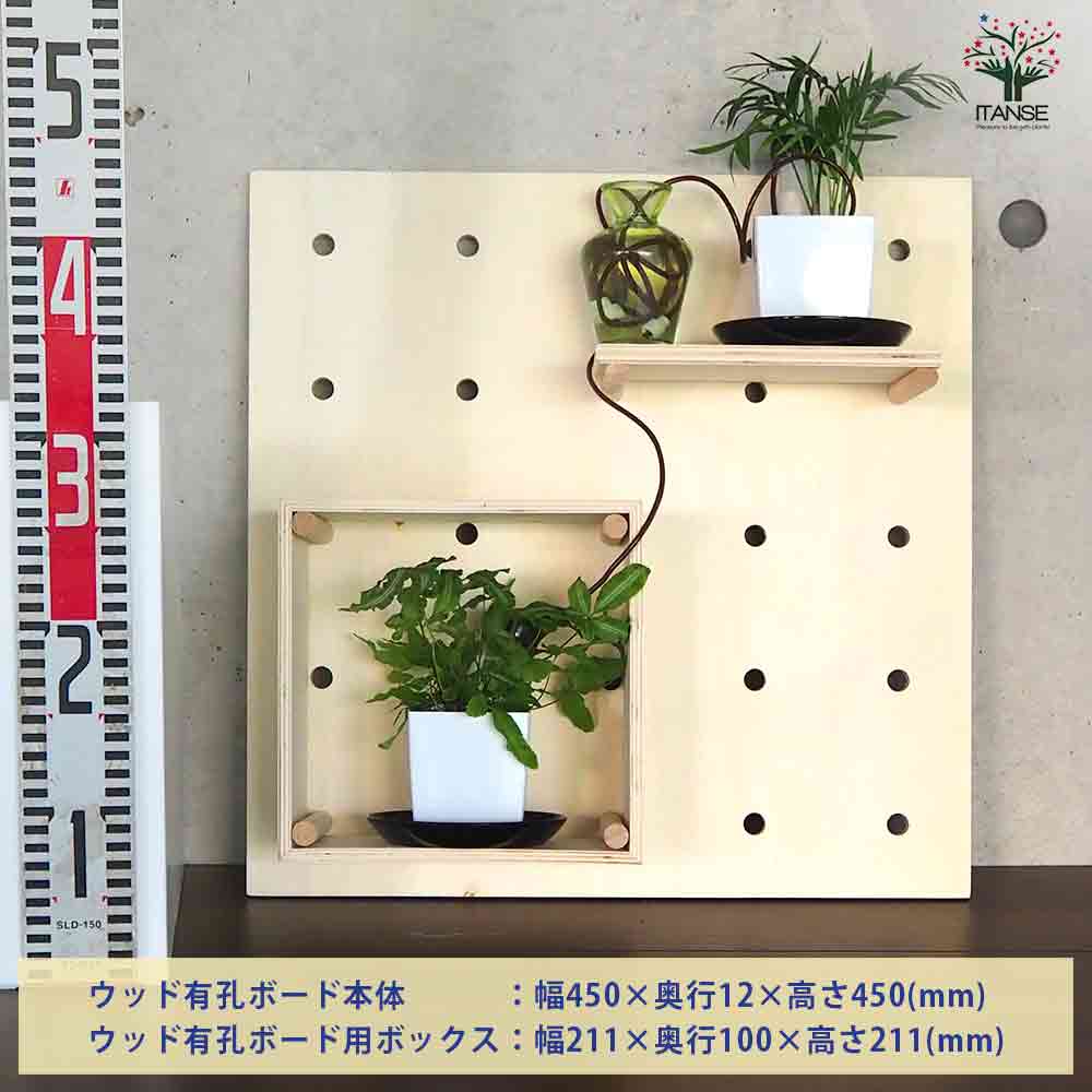 ミニ観葉植物壁面ディスプレイ&ボックス 工具ほぼいらずWBセット【資材