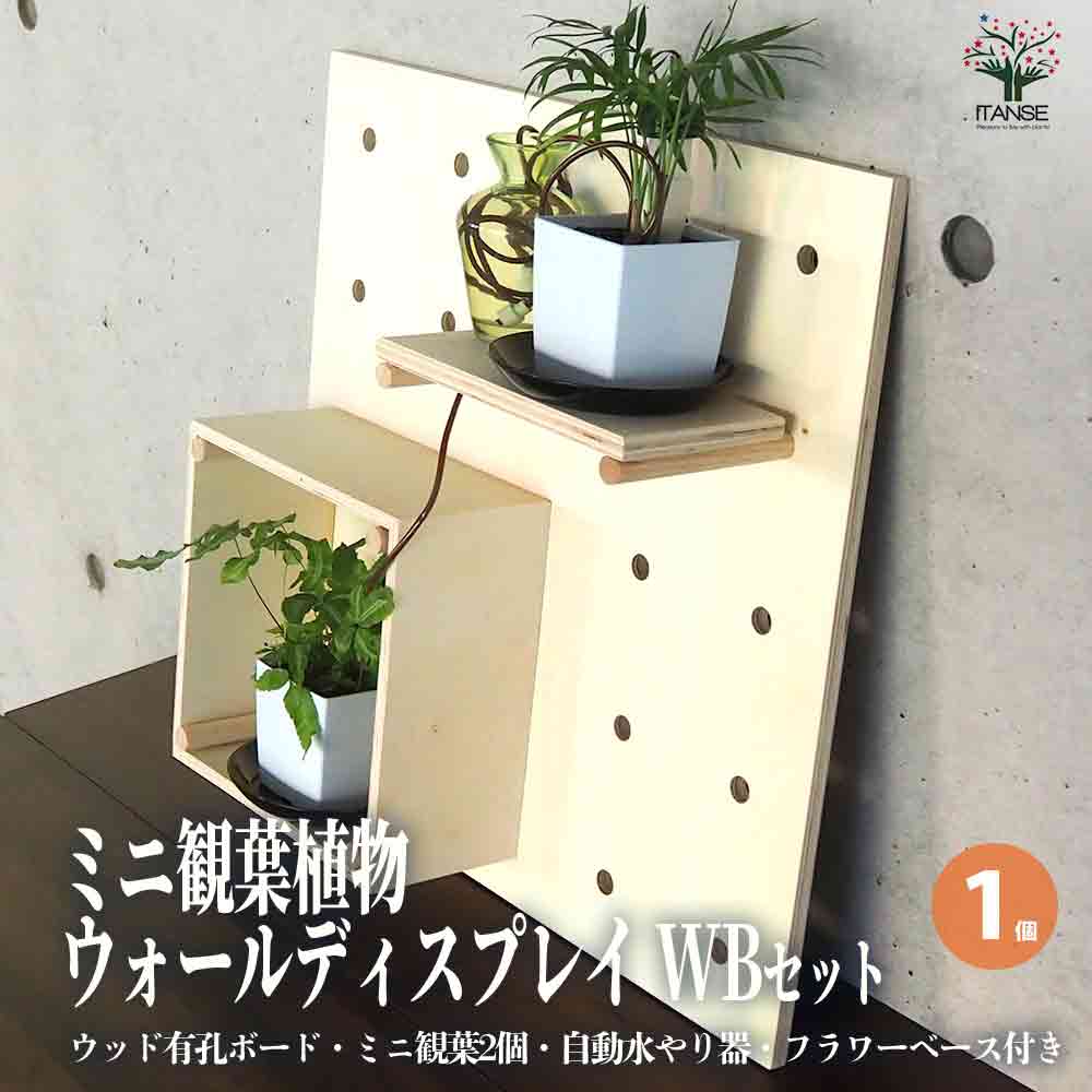 ミニ観葉植物壁面ディスプレイ&ボックス 工具ほぼいらずWBセット【資材 ／1個売り】