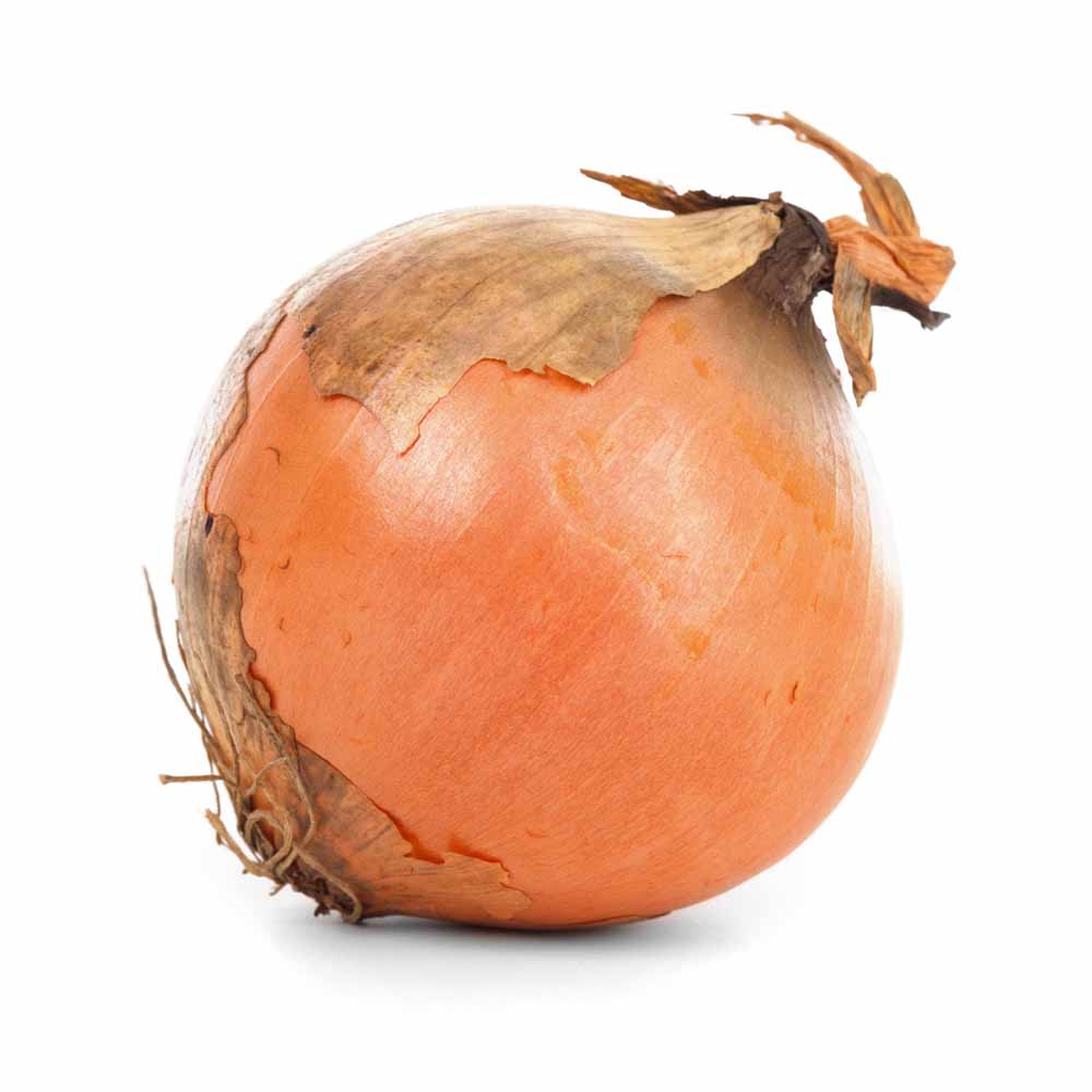 玉ねぎ抜き苗 品種： O・P黄(中生) 【野菜の苗 約50本／束】