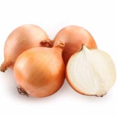 玉ねぎ抜き苗 品種：ネオ・アース(中晩生) 【野菜の苗 約50本／束】|野菜苗