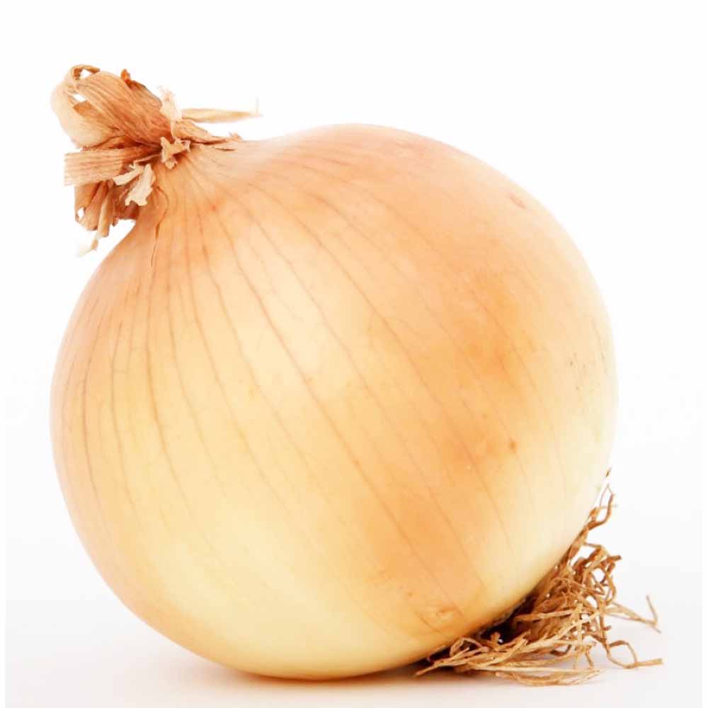 玉ねぎ抜き苗 品種：ソニック(早生) 【野菜の苗 約50本／束】