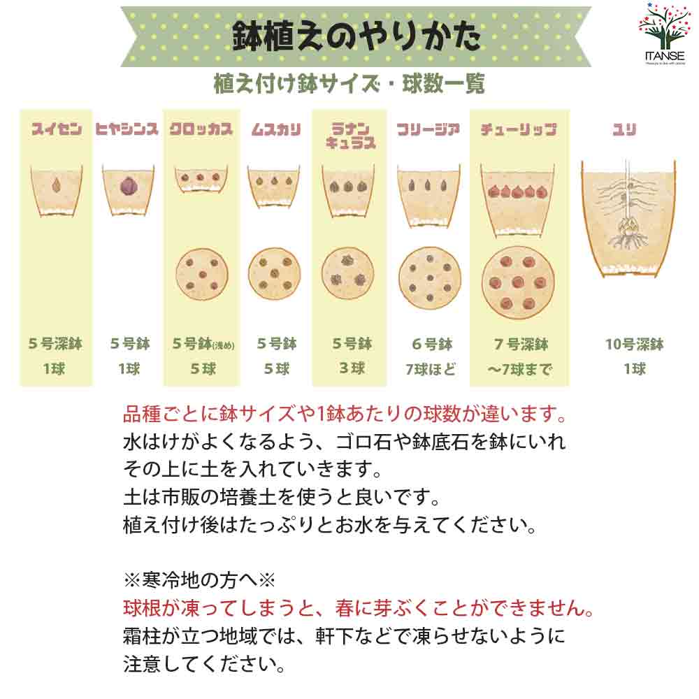 追加商品画像