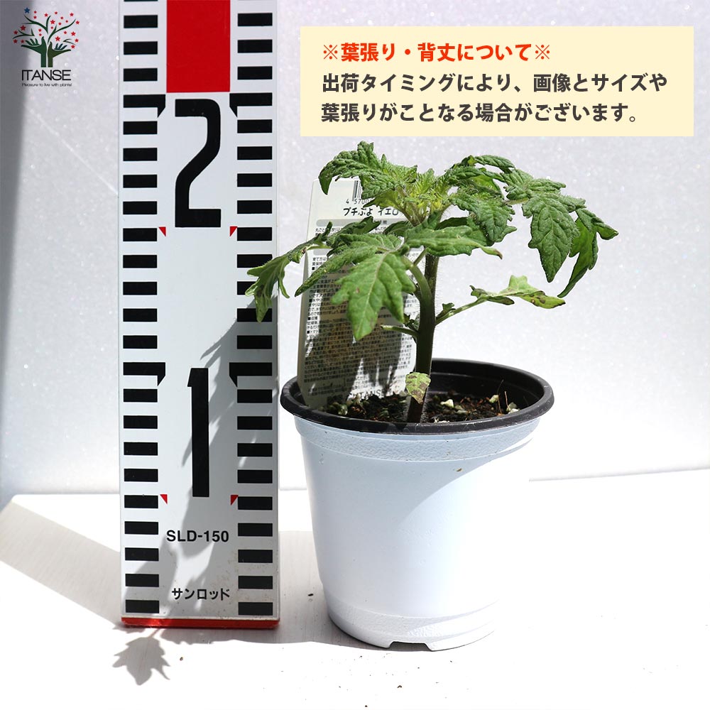 追加商品画像