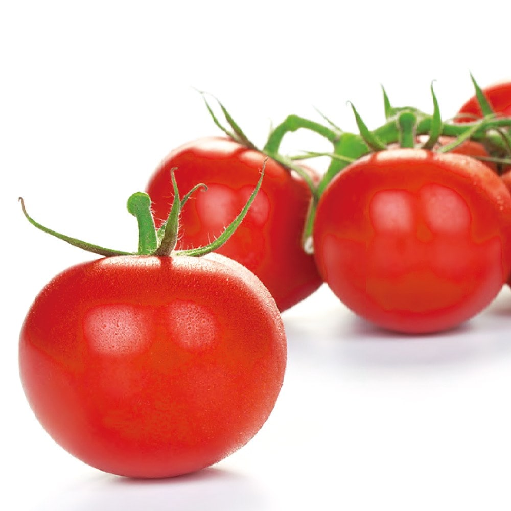 高リコピントマト LEON(レオン) 2個～【9cmポット自根苗】