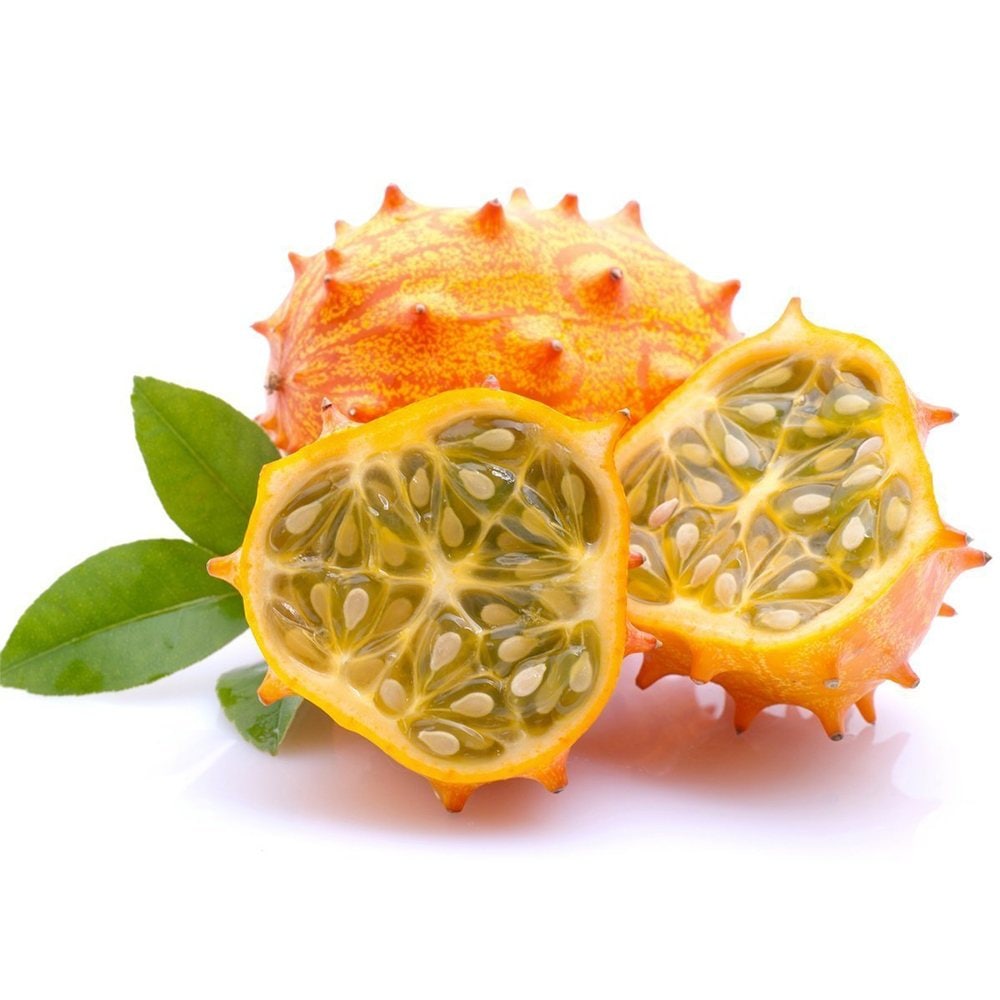 キワーノ グリーンゼリーメロン苗2個～【自根苗9cmポット】