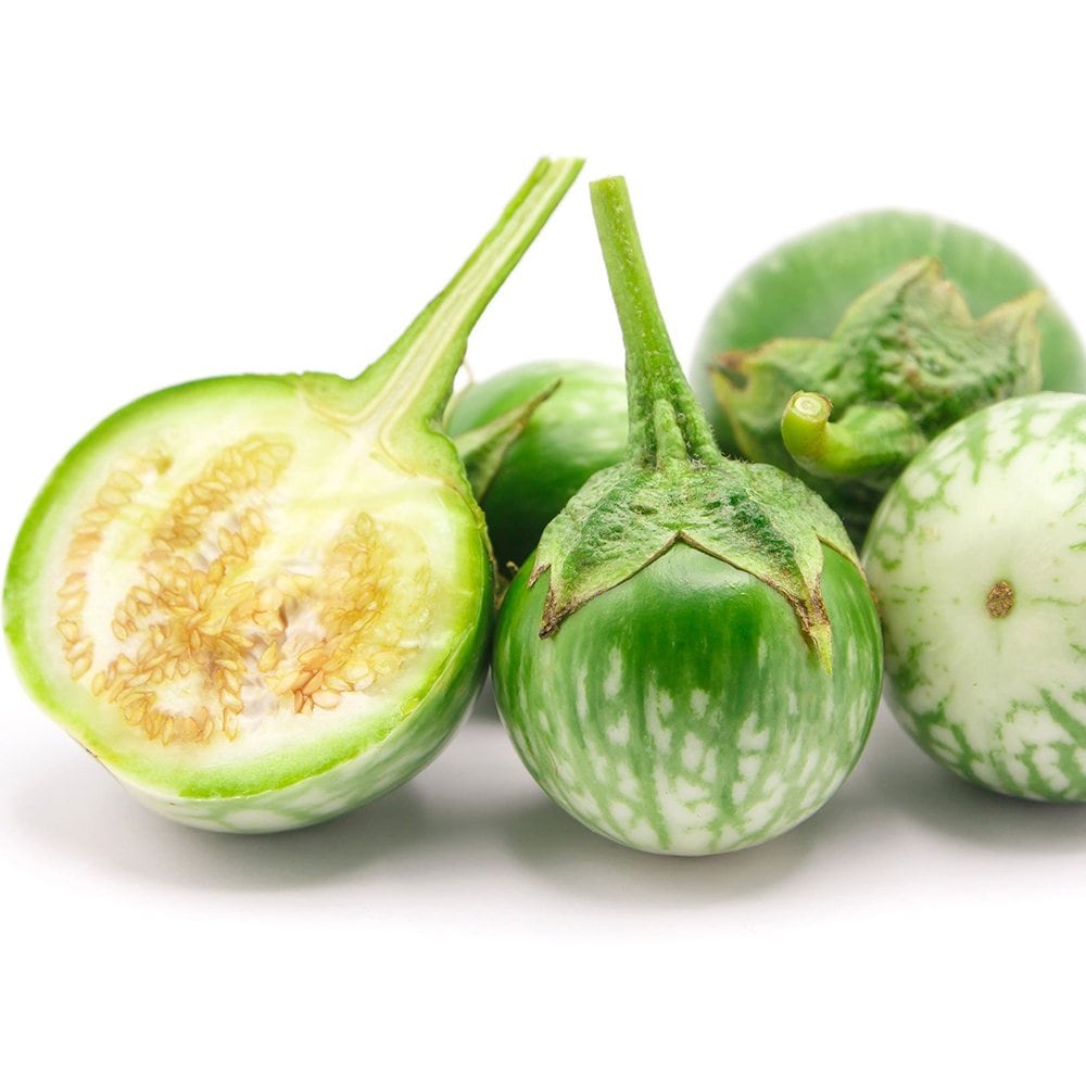 タイナスの苗 2個～【野菜の苗 10.5cmポット 自根苗】