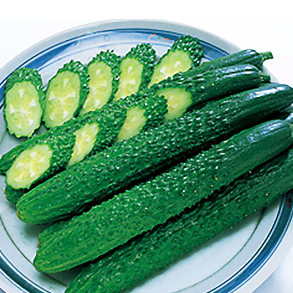 きゅうりの苗 シャキットきゅうり2個～【野菜の苗 10.5cmポット 自根苗】