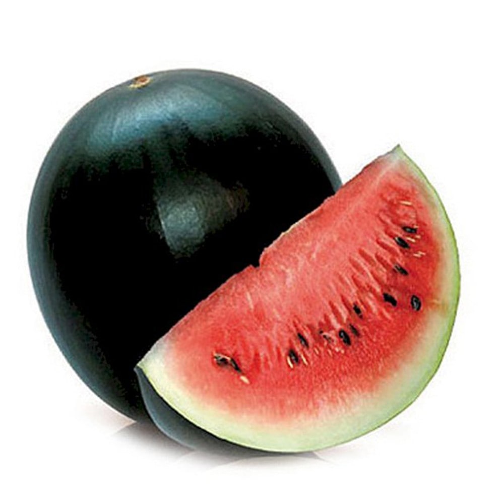 スイカの苗 黒皮ジャンボスイカ タヒチ2個～【野菜の苗 10.5cmポット 自根苗】