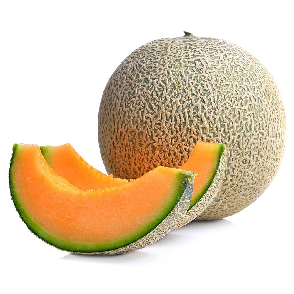 メロンの苗 らくらく極甘！赤肉ネットメロン2個～【野菜の苗 10.5cmポット 自根苗】