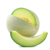 メロンの苗 らくらく極甘！緑肉ネットメロン 盛夏系2個〜【野菜の苗 10.5cmポット 自根苗】|メロン|野菜苗