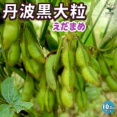 枝豆の苗 丹波 黒大粒 枝豆3個〜【野菜の苗 10.5cmポット】|野菜苗