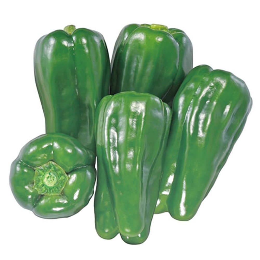 苦くない!肉厚甘味ピーマンの苗2個～【野菜苗10.5cmポット 自根苗】