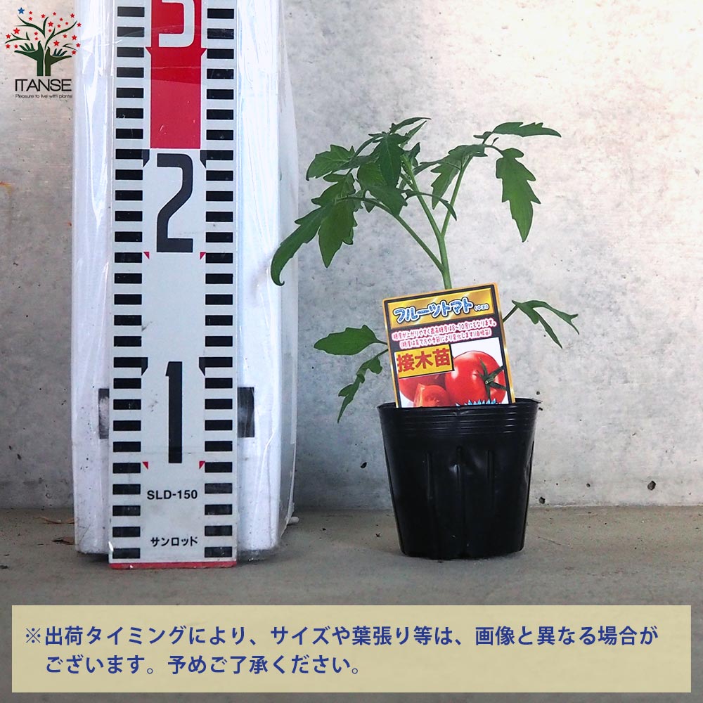 追加商品画像