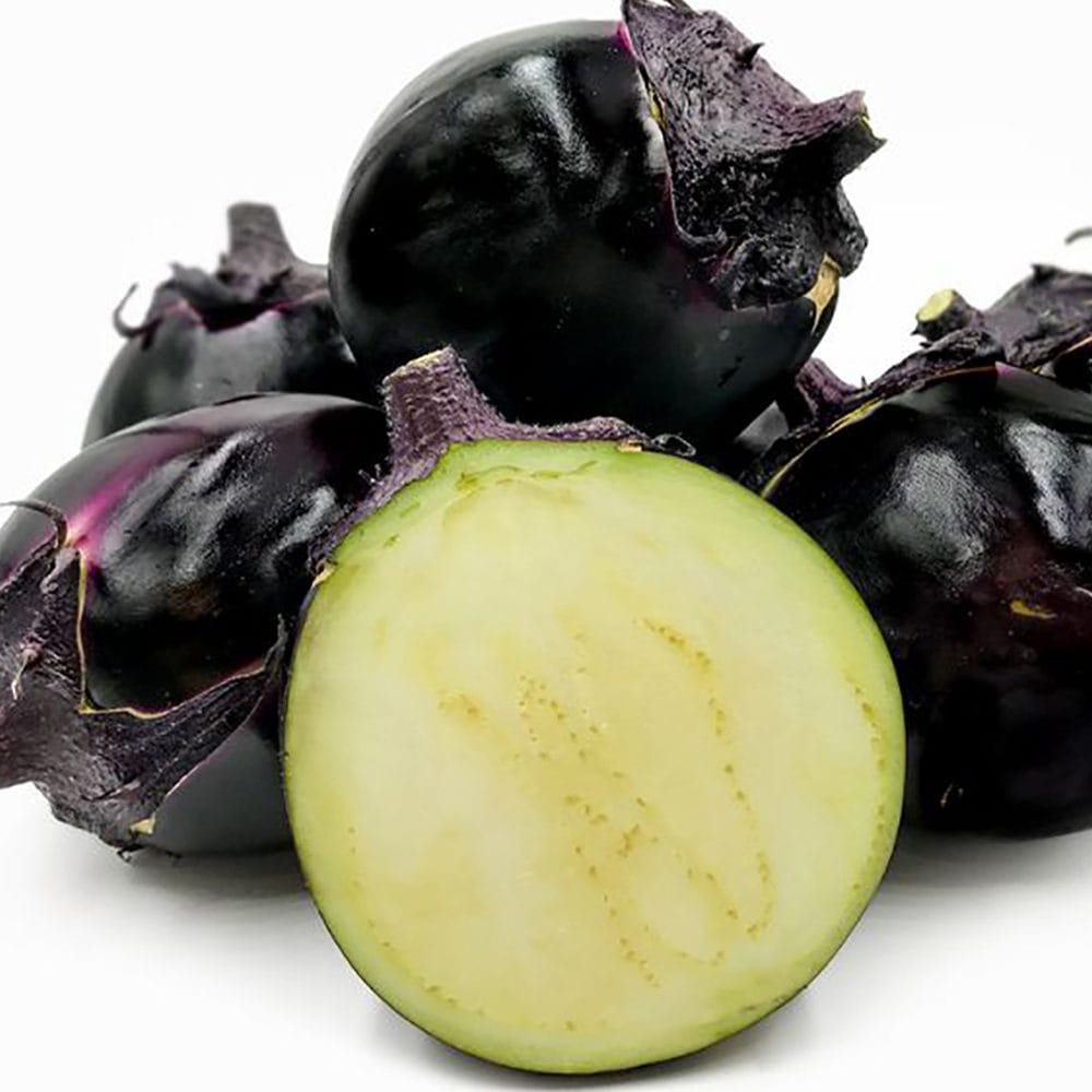 賀茂なす 接木苗2個～【野菜 接木苗9cmポット／2個セット】